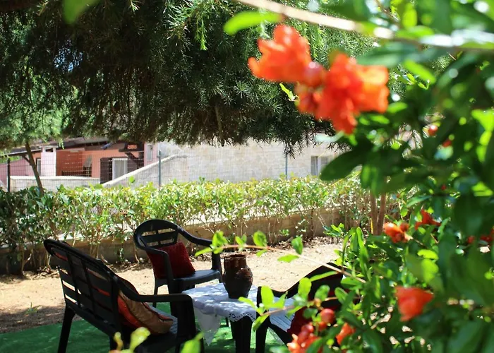 Piccolo Ulivo * Martina Franca