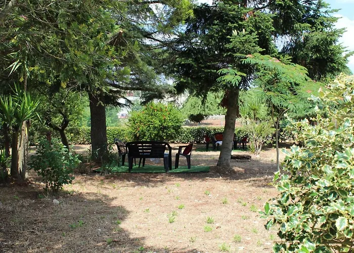 Holiday home Piccolo Ulivo *