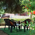 Piccolo Ulivo Tatil Evi *